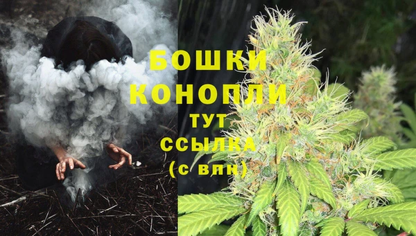 крисы Баксан