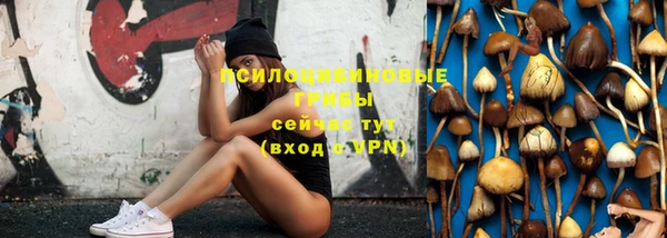 крисы Баксан