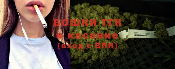 крисы Баксан