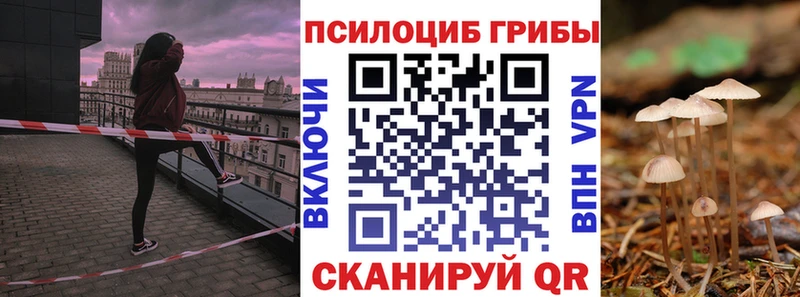даркнет сайт  Кемерово  Галлюциногенные грибы прущие грибы 